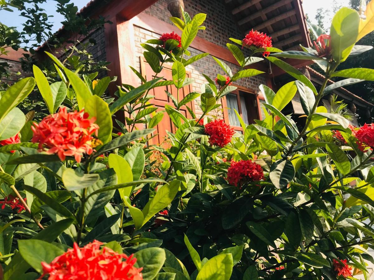 Tam Coc Friendly Homestay Ninh Bình Exteriör bild