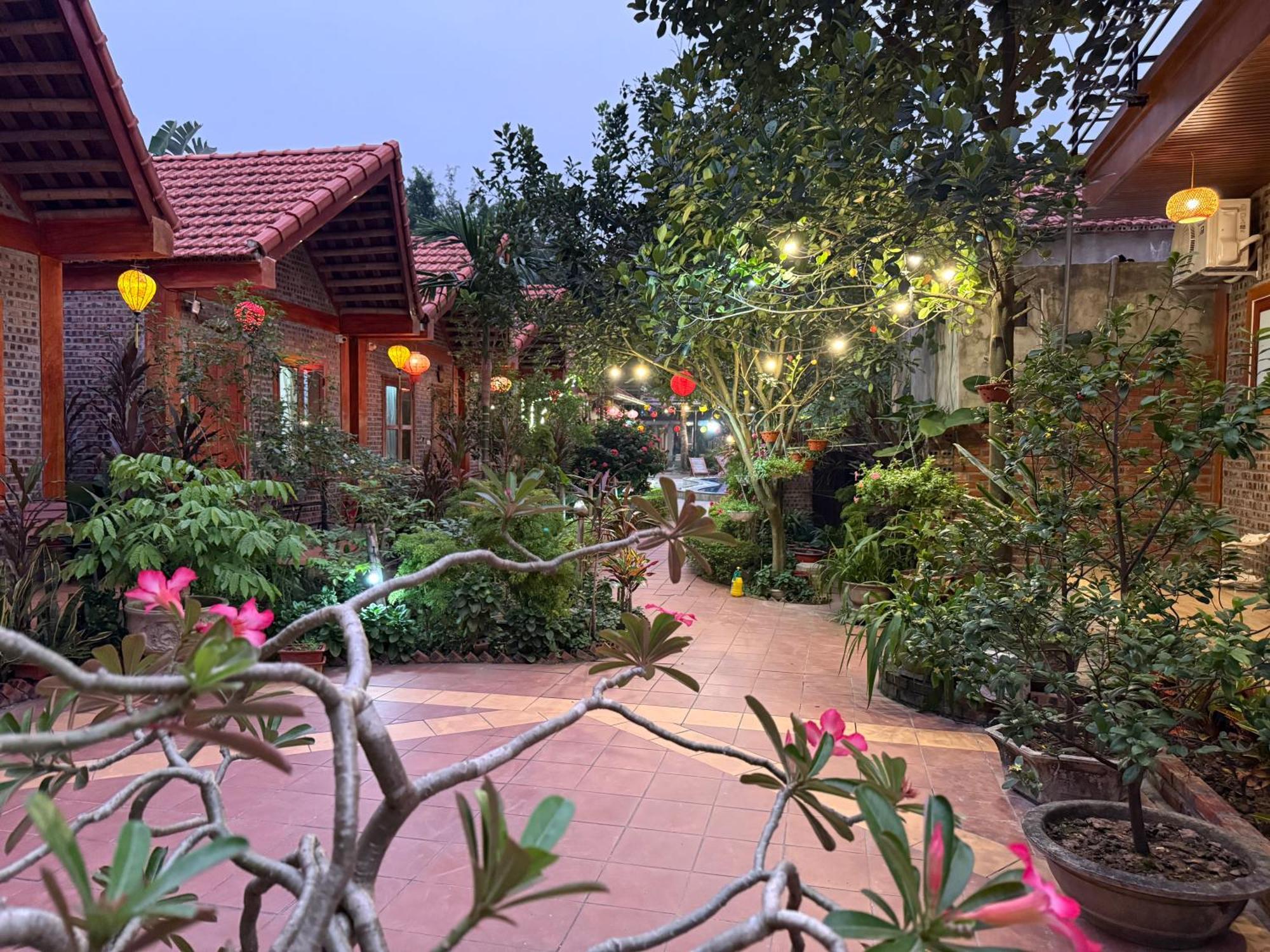 Tam Coc Friendly Homestay Ninh Bình Exteriör bild