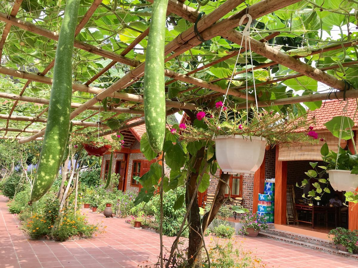 Tam Coc Friendly Homestay Ninh Bình Exteriör bild