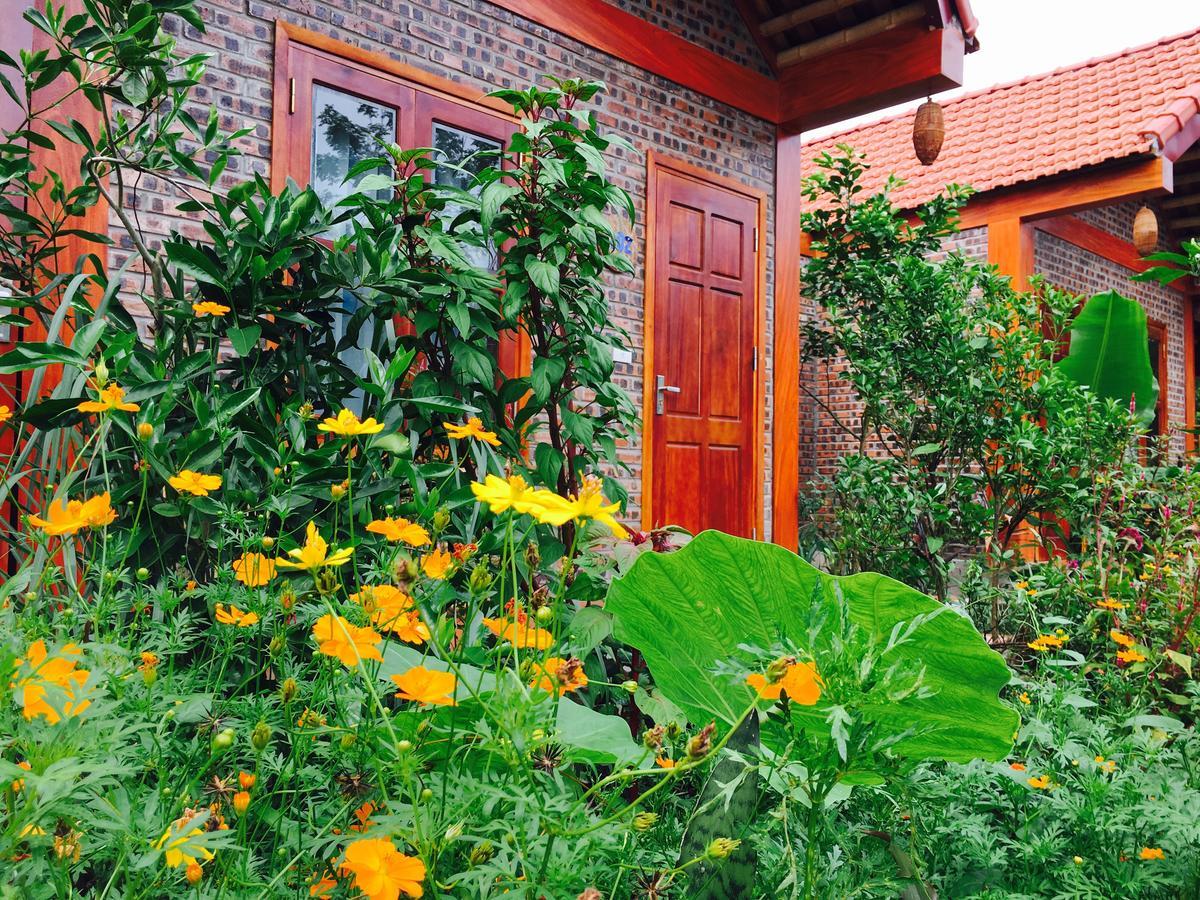 Tam Coc Friendly Homestay Ninh Bình Exteriör bild