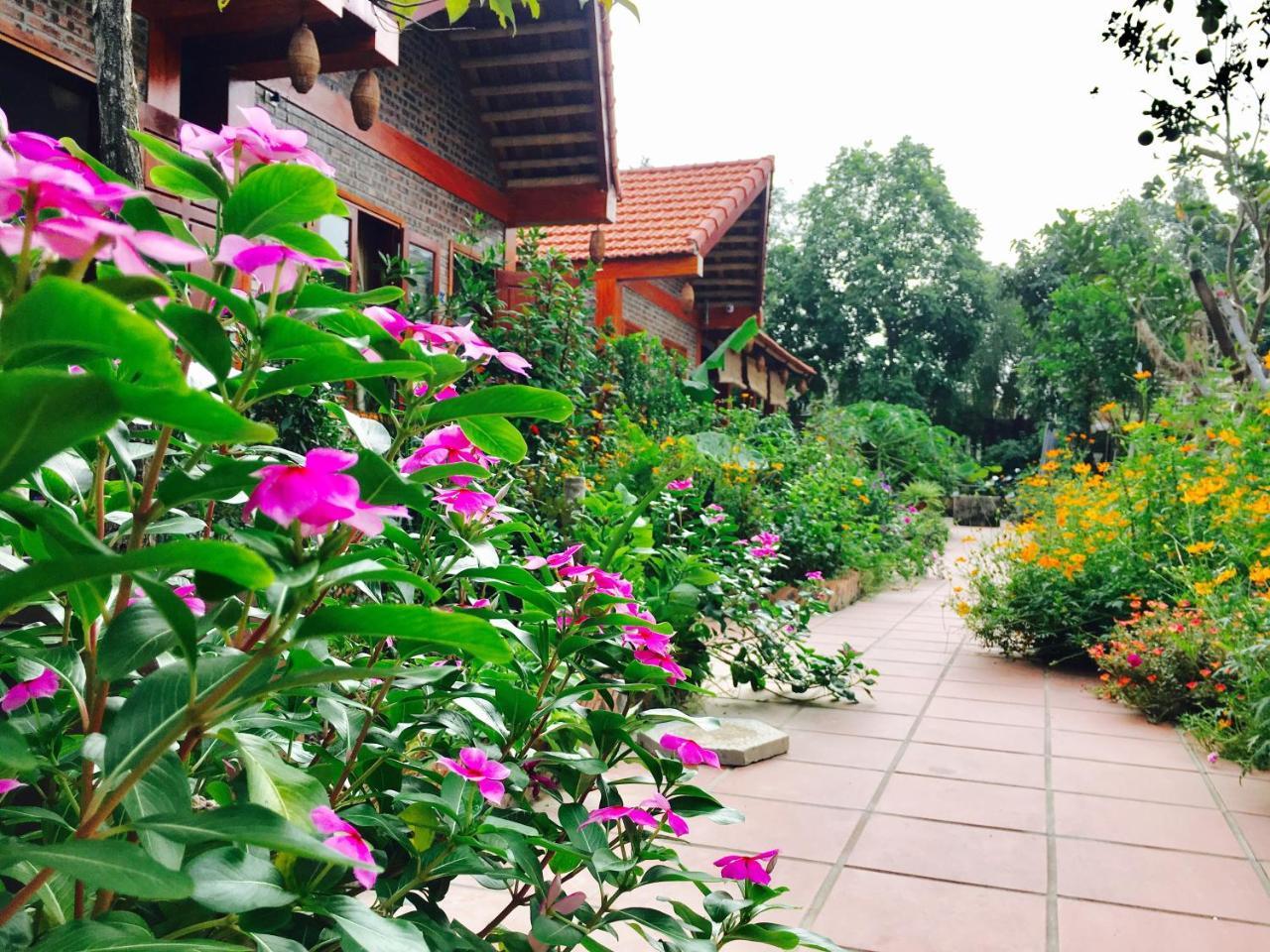 Tam Coc Friendly Homestay Ninh Bình Exteriör bild