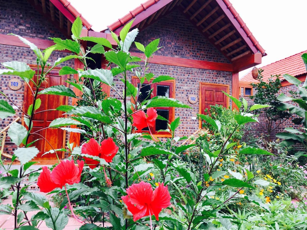 Tam Coc Friendly Homestay Ninh Bình Exteriör bild