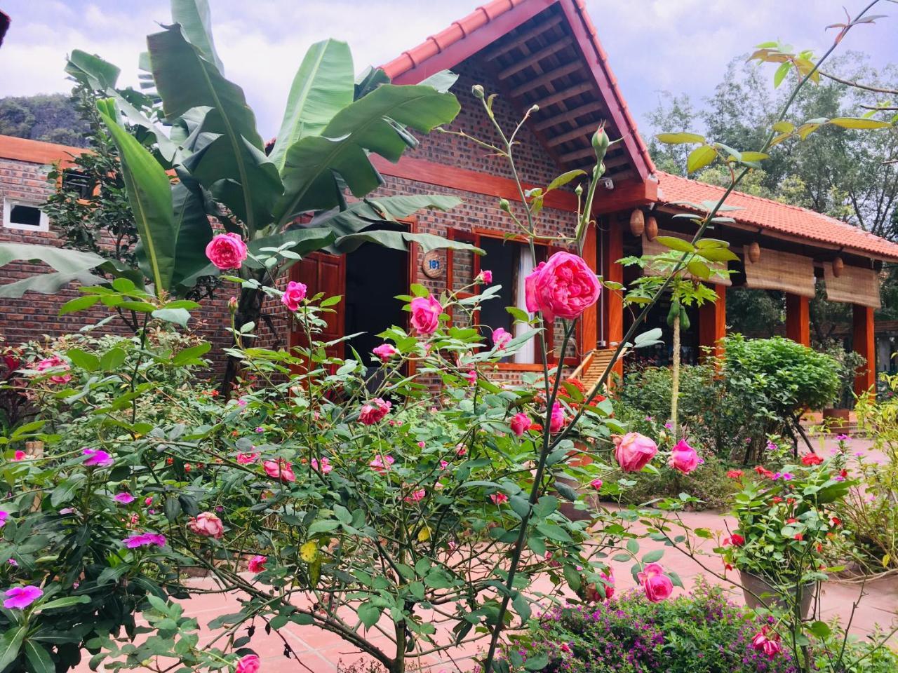 Tam Coc Friendly Homestay Ninh Bình Exteriör bild